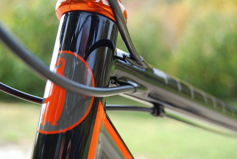 Bones-double internal cable routing